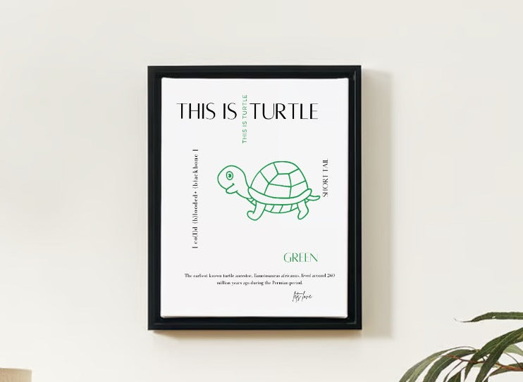 Lets Love Art - Learn about Turtles Kids ArtWork For a Fun and Inviting Space with Modern Aesthetics