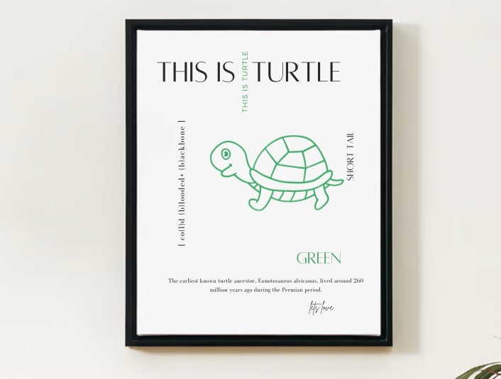 Lets Love Art - Learn about Turtles Kids ArtWork For a Fun and Inviting Space with Modern Aesthetics